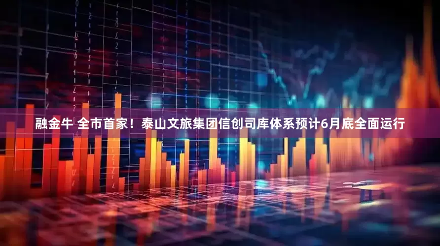 融金牛 全市首家！泰山文旅集团信创司库体系预计6月底全面运行