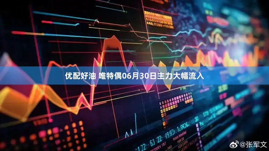 优配好油 唯特偶06月30日主力大幅流入