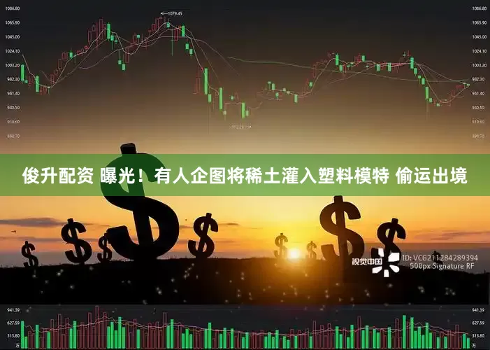 俊升配资 曝光！有人企图将稀土灌入塑料模特 偷运出境