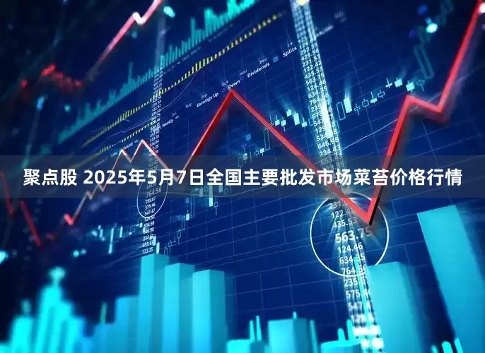 聚点股 2025年5月7日全国主要批发市场菜苔价格行情