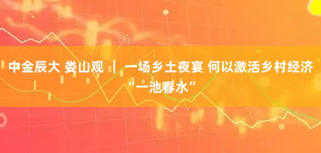 中金辰大 娄山观 ｜ 一场乡土夜宴 何以激活乡村经济“一池春水”