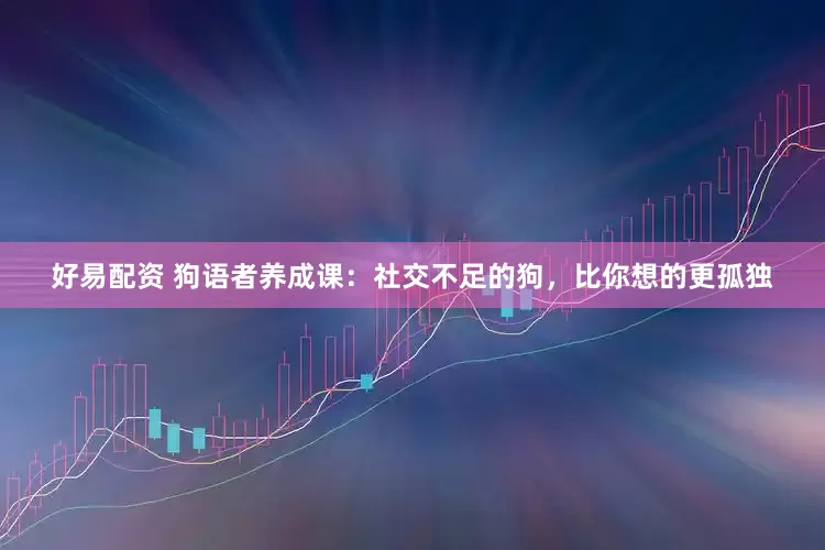 好易配资 狗语者养成课：社交不足的狗，比你想的更孤独